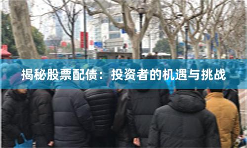 揭秘股票配债：投资者的机遇与挑战