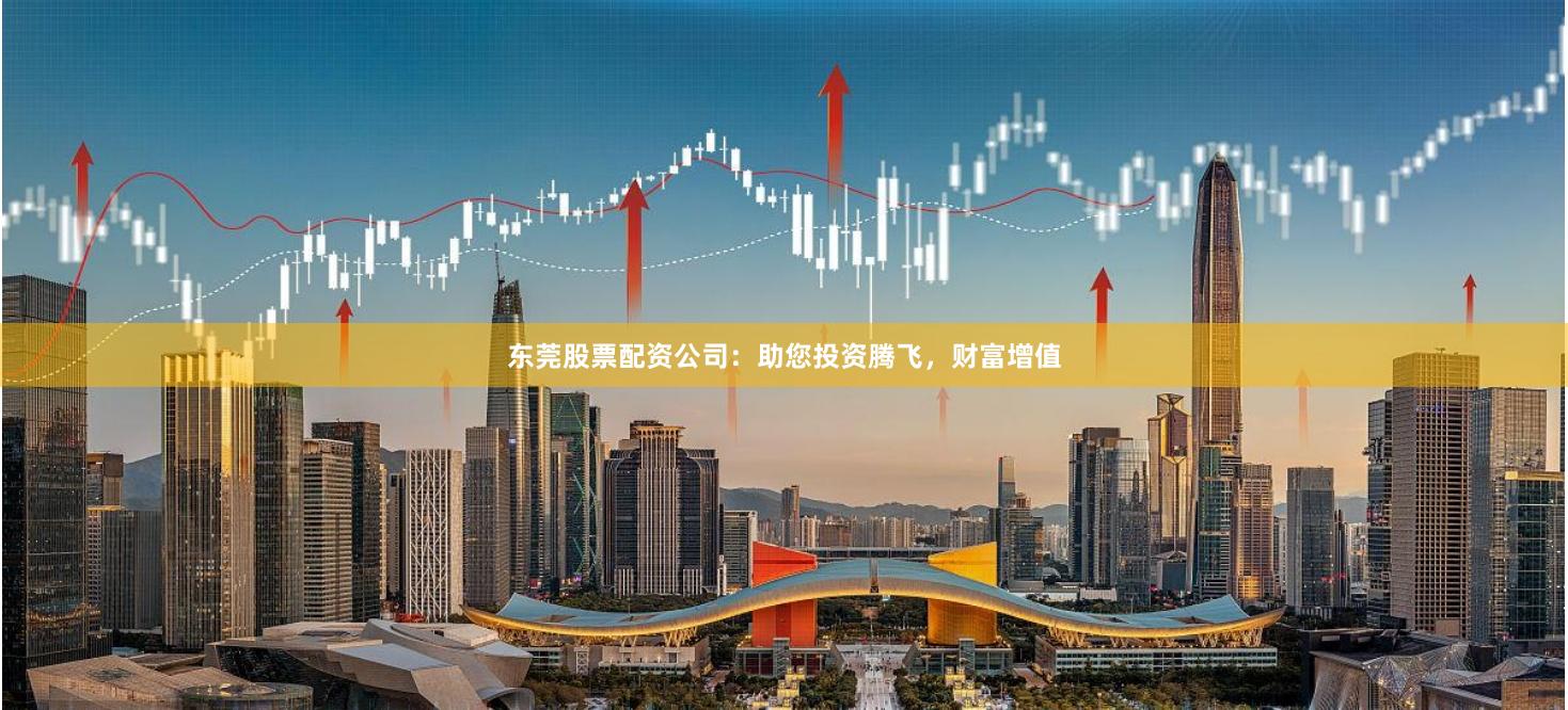 东莞股票配资公司：助您投资腾飞，财富增值