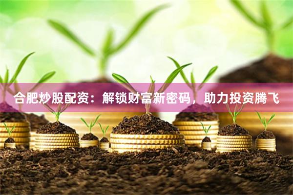 合肥炒股配资：解锁财富新密码，助力投资腾飞