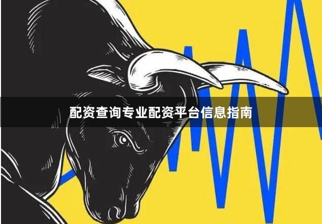 配资查询专业配资平台信息指南