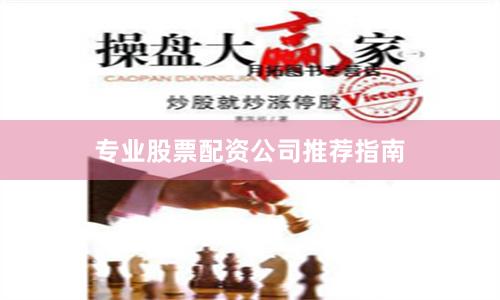 专业股票配资公司推荐指南
